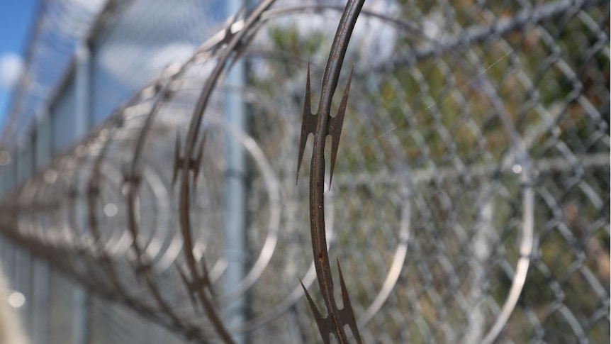 Close-up of sharp razor wire at the North East Gate at Guantanamo.