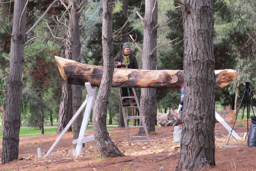 A man in his 50s with glasses and wearing warm clothing stands on a ladder next to a large log, in a forest