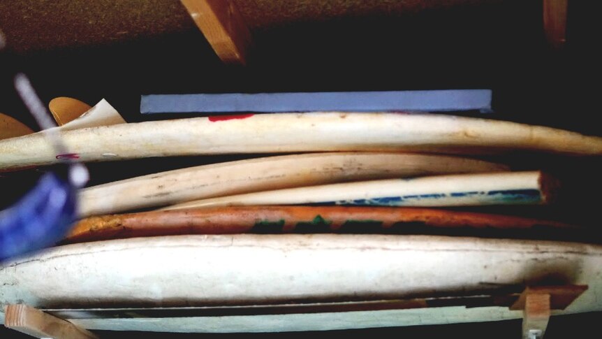 Several unpainted surfboards piled up on the wall of Jeremy's shed