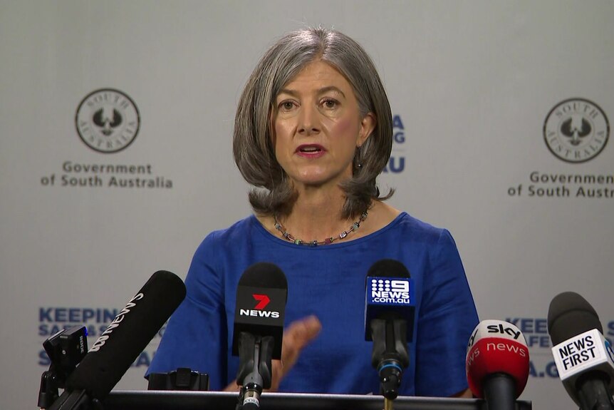 A woman with grey hair wearing a blue top speaking to microphones