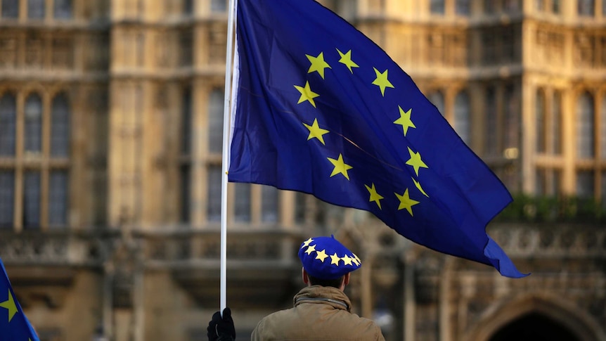 A pro-Europe demonstrator holds an EU flag, yellow stars in a circle on a blue background.