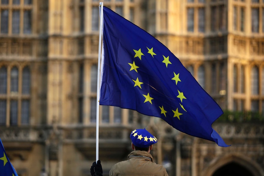 A pro-Europe demonstrator holds an EU flag, yellow stars in a circle on a blue background.