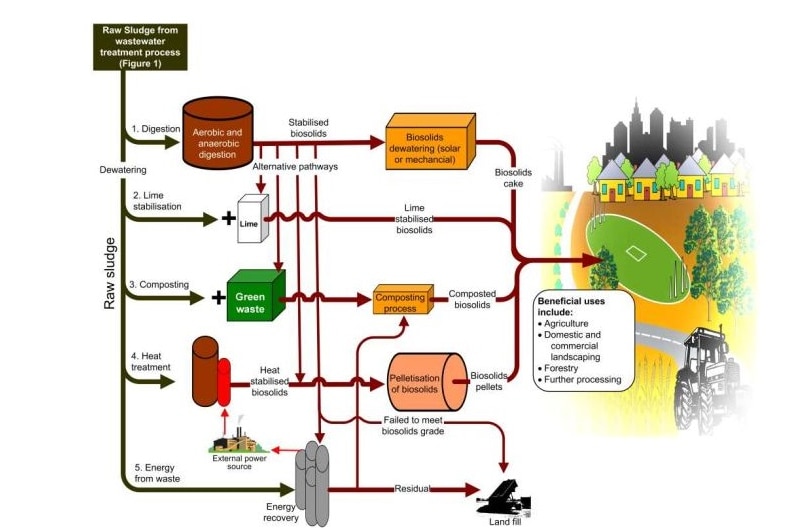 An infographic of the process of turning sewage sludge into biosolids