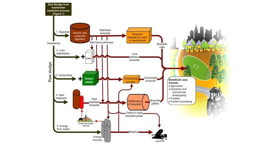 An infographic of the process of turning sewage sludge into biosolids