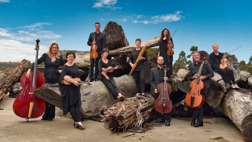 A group of musicians holding string instruments, posing on a pile of drift wood and rocks at the beach.
