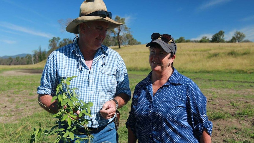David and Carolyn Duff standing on their property at Toorooka after the rain earlier this year.