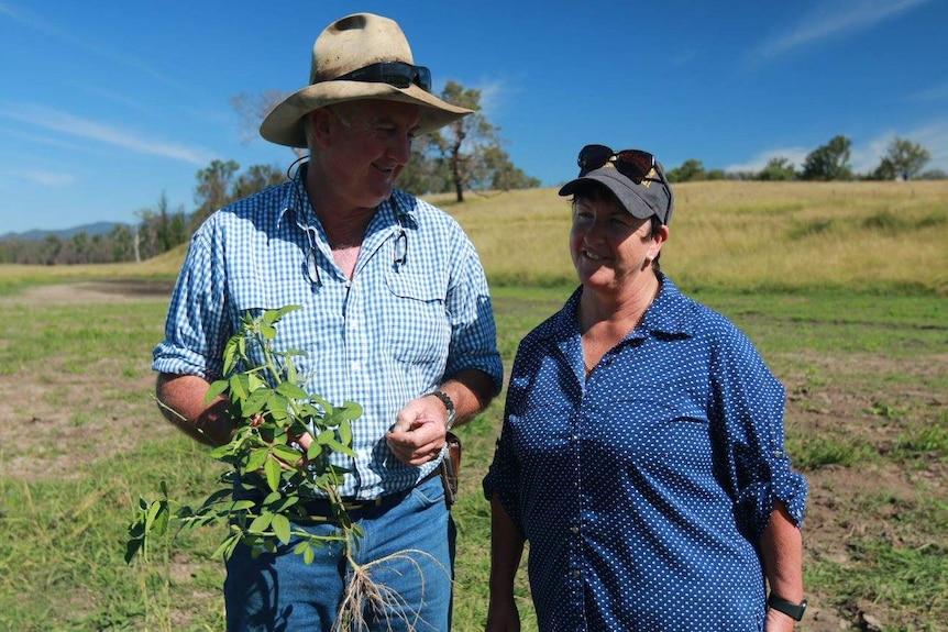 David and Carolyn Duff standing on their property at Toorooka after the rain earlier this year.