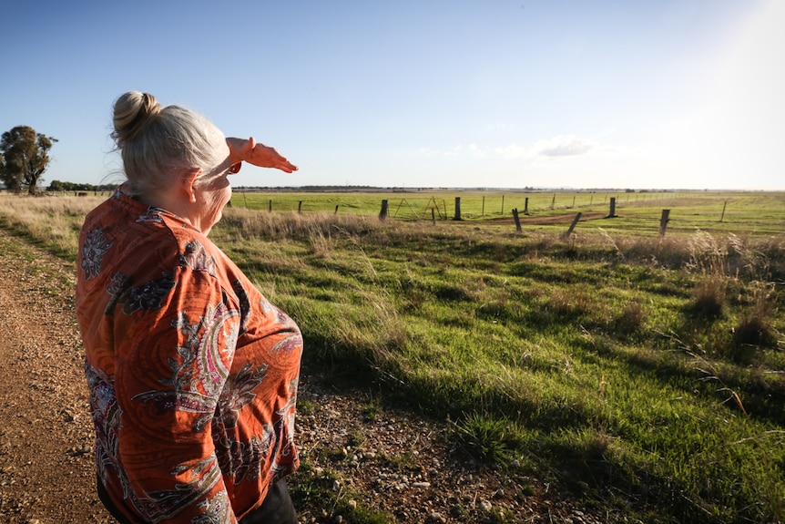 a woman looks over lush green farmland