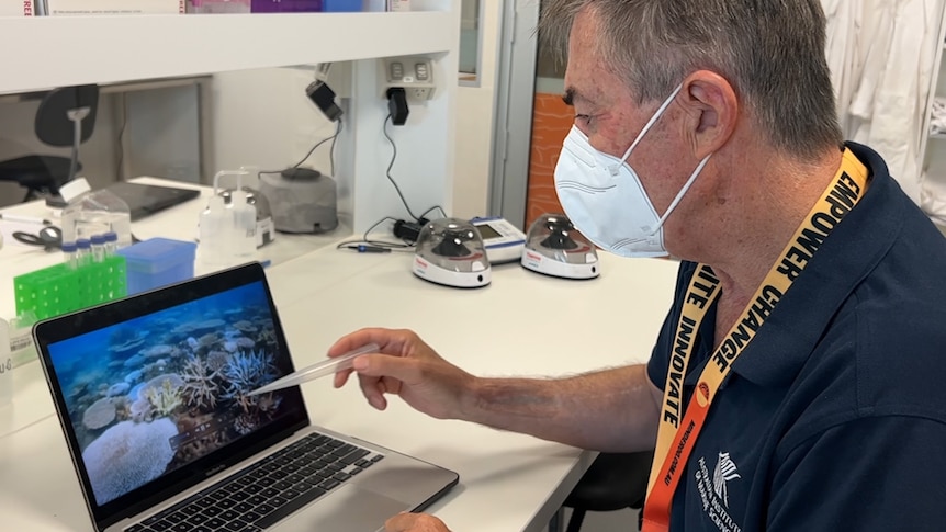A scientist looks at a photo of Ningaloo Reef on a computer