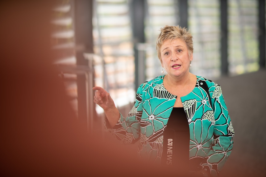 NT Education Department Karen Weston speaking at a press conference. 