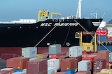 Shipping containers are stacked at Port Botany in Sydney in readiness for export.