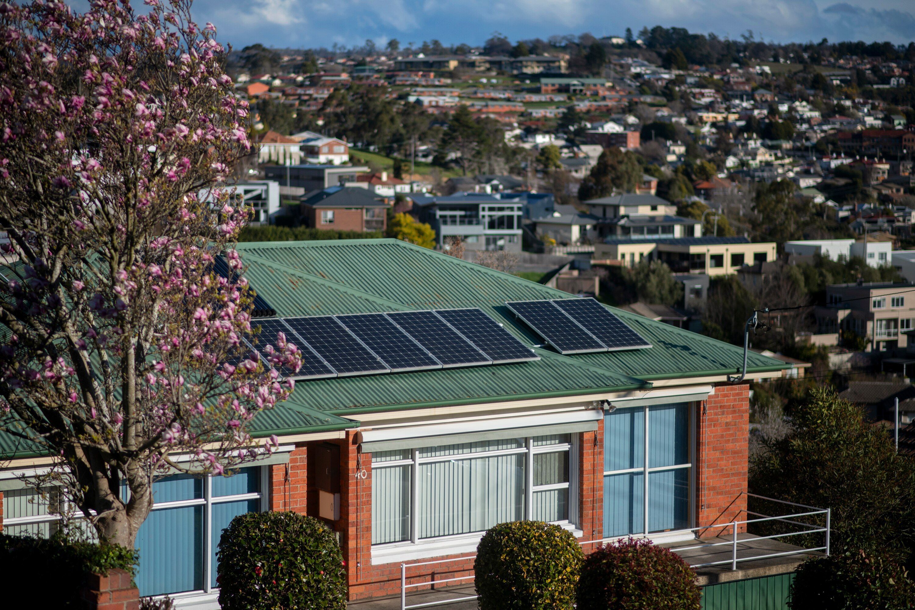 Homes with blue roofs and dark square solar panels installed on the rooves with flowers and homes in the background.