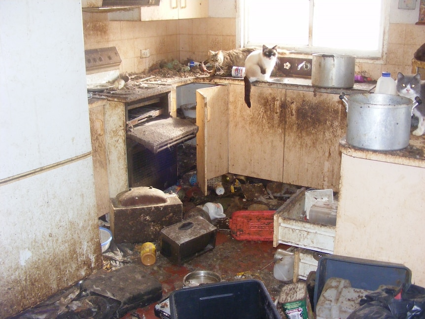 Kitchen of Valerie Hicks' Deepwater home