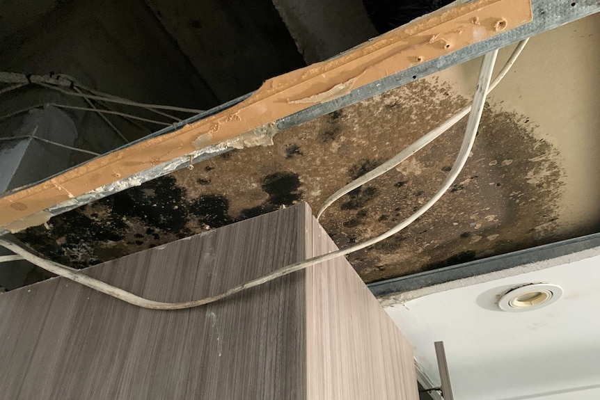 A photo of damage in an apartment after ongoing issues with mould and water leaks