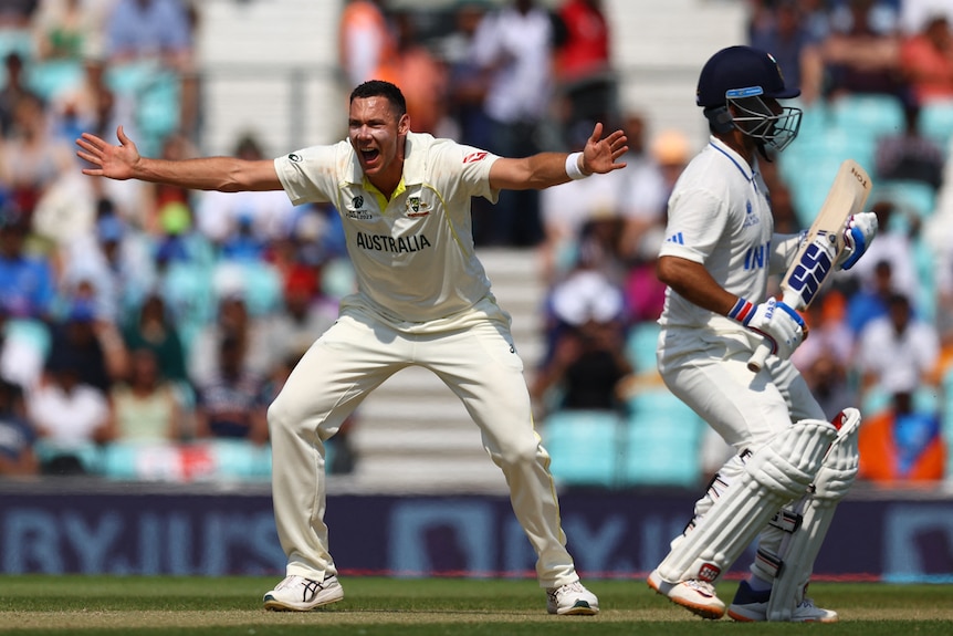 A male cricket bowlers, appeals with his hands raised, while the batter turns his back to him.