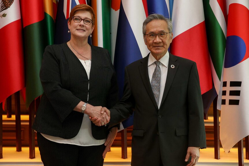 Tall woman with short red hair shakes hands with Thai man with grey hair in front of world flags.