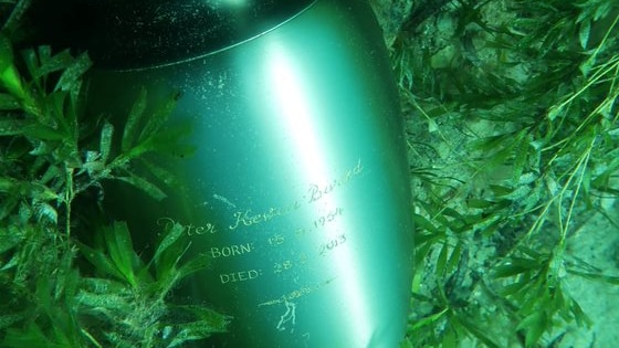 An urn with text on the front nestled on green sea grass at the bottom of the ocean