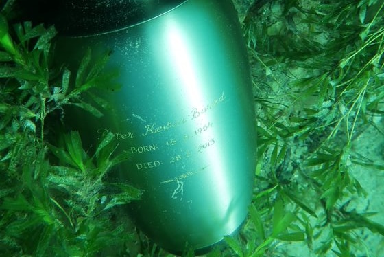 An urn with text on the front nestled on green sea grass at the bottom of the ocean