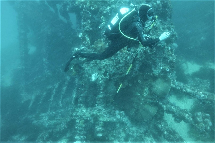 A diver swims around a wreck in the ocean.