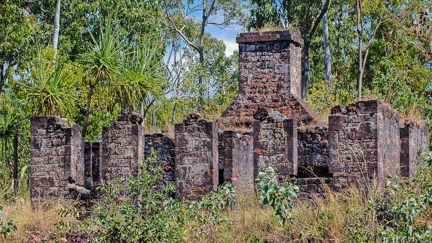 Brick ruins surrounded by eucalyptus trees.