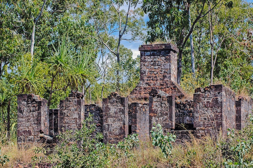 Brick ruins surrounded by eucalyptus trees.