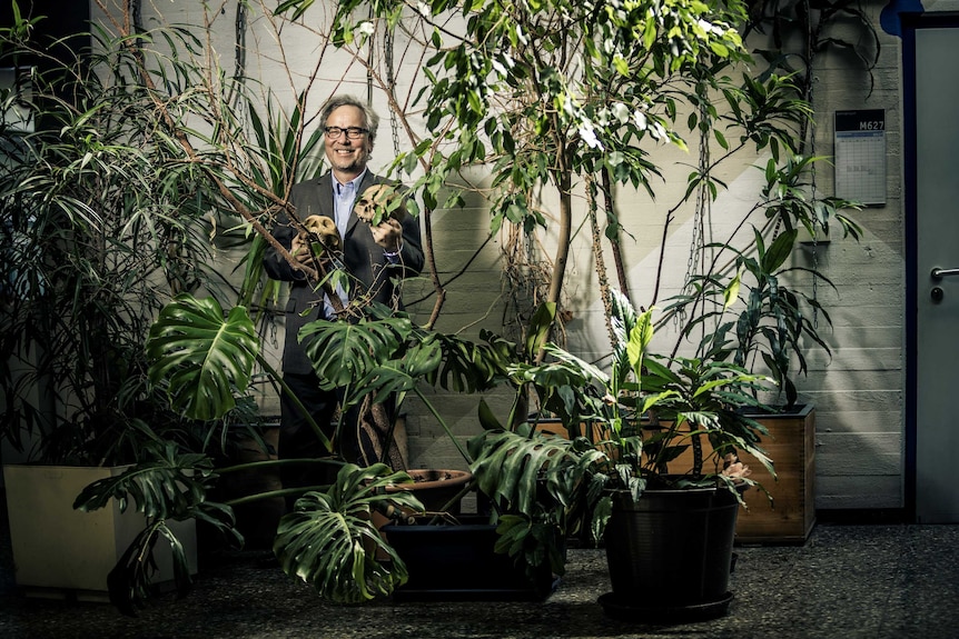 A man stand in a warehouse surrounded by plants and holding human skulls.
