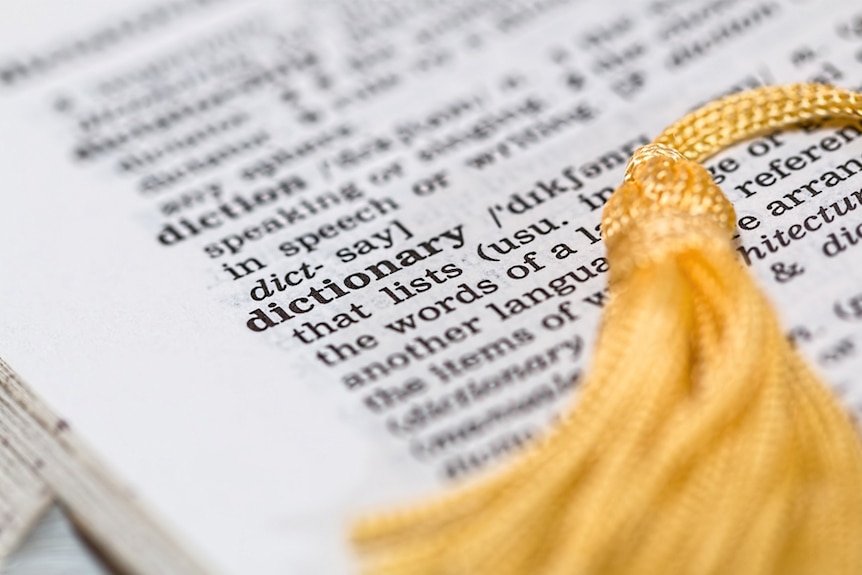 A yellow tassel marks an open page in a dictionary.