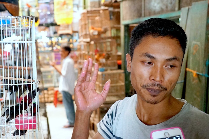 Nurkhan, who works at the bird market in Jakarta