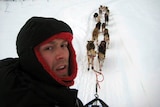 Christian Turner and his dogs during the Iditarod race.