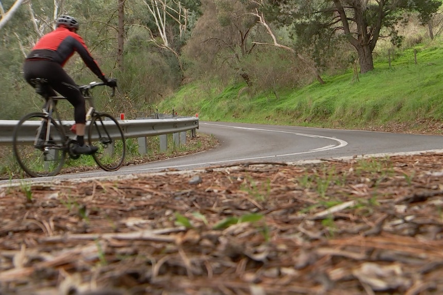 A person in red and black clothing rides their bike around a corner, on a bush road.