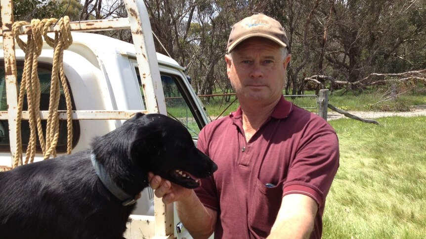 Michael Baxter stands with his dog, standing on the back of his utility vehicle