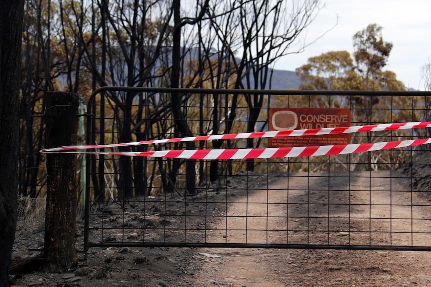 Markings were left across driveways of homes that were not so lucky.