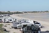 A white beach with many caravans parked on its fringe.