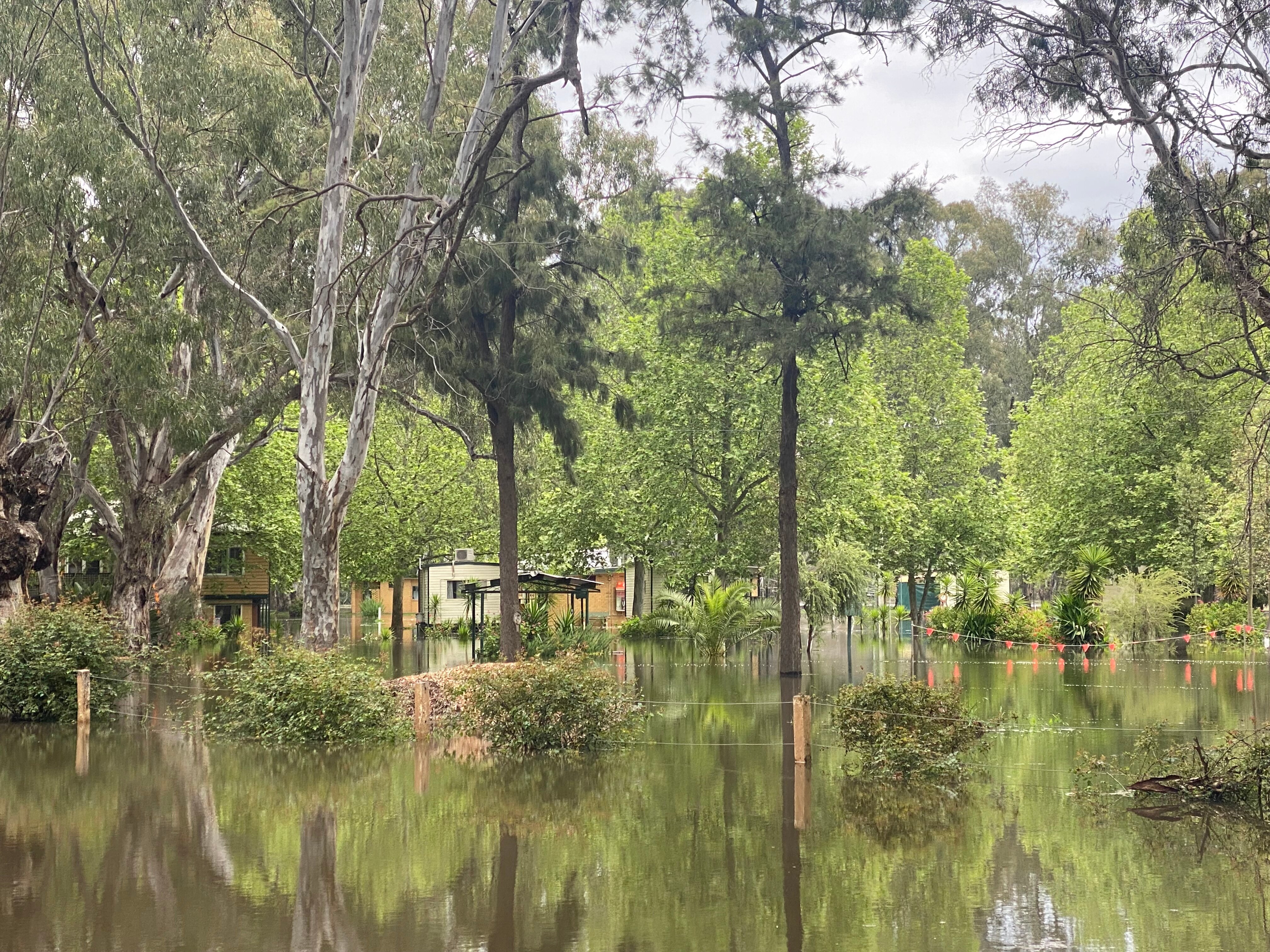 Unpredictable Murrumbidgee flows cause uncertainty, anxiety for