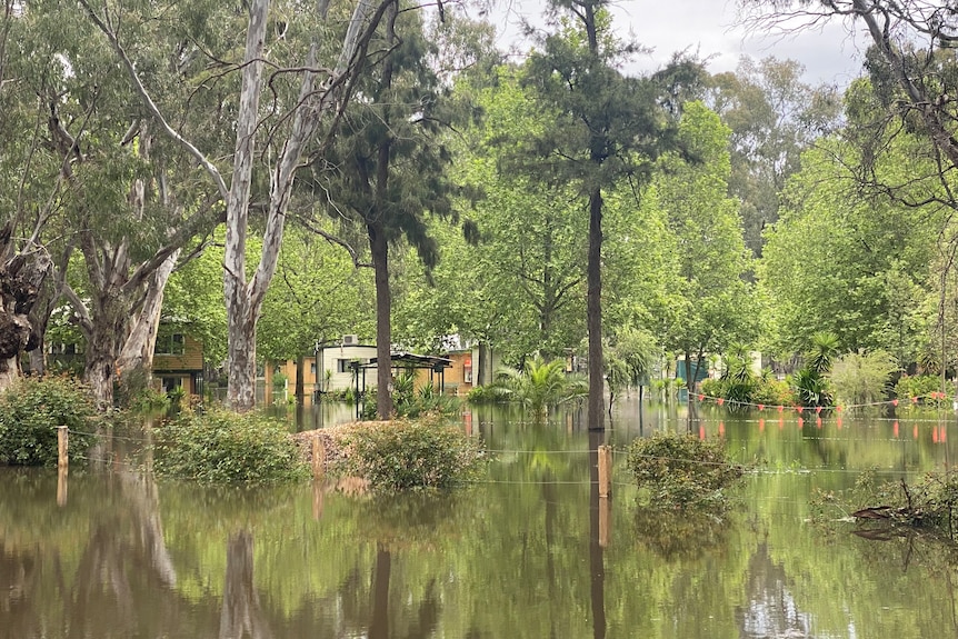 Darlington Point cabins under water