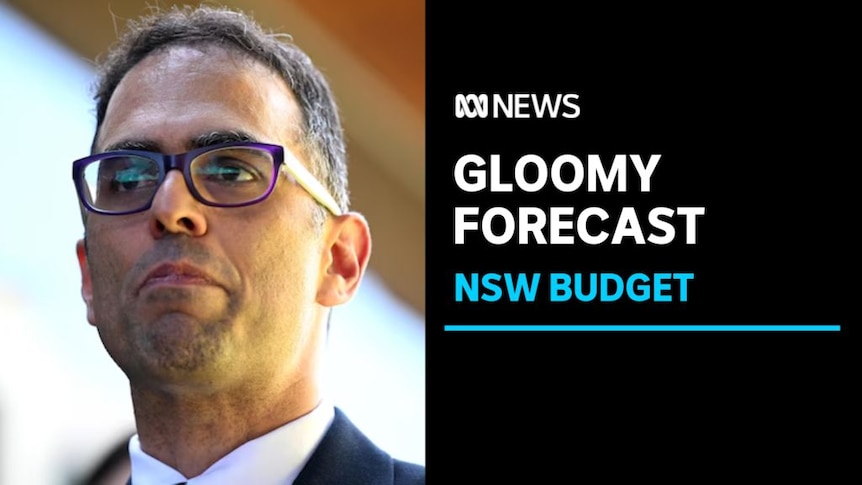 Gloomy Forescast, NSW Budget: NSW Treasurer Daniel Mookhey durig a media conference.