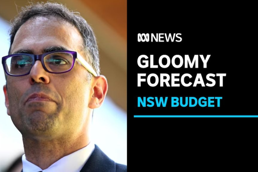 Gloomy Forescast, NSW Budget: NSW Treasurer Daniel Mookhey durig a media conference.