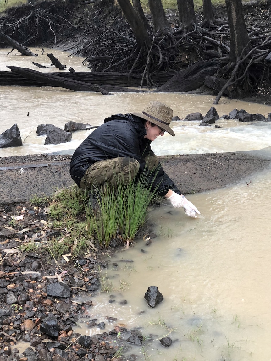 A woman in a hat using a syringe to take a sample of water from a brown river