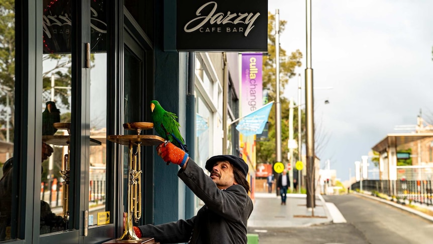 A man entering a coffee shop, he is holding a bright green parrot on his hand and reaching up to put the bird on a perch.