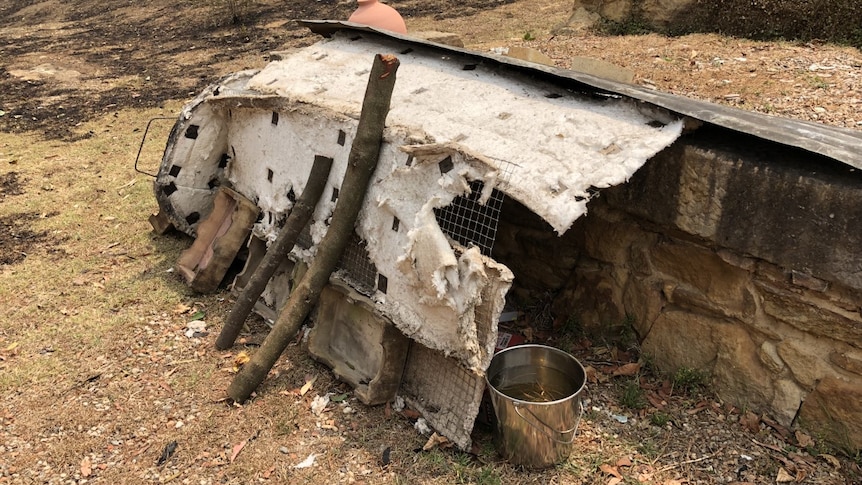 A makeshift shelter in burnt-out land.