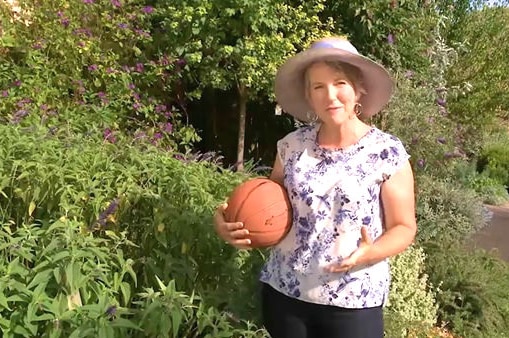 Sophie Thomson holding basketball in garden, illustrating our Gardening Australia episode recap.
