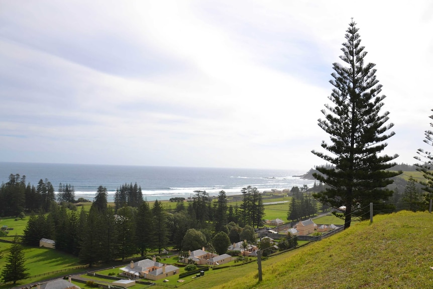 Norfolk Island landscape