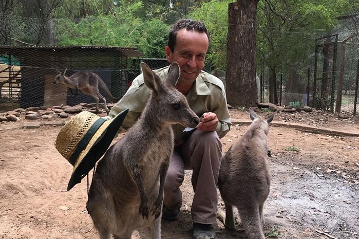 Wildlife volunteer says 'roo killing trend 'not sustainable'