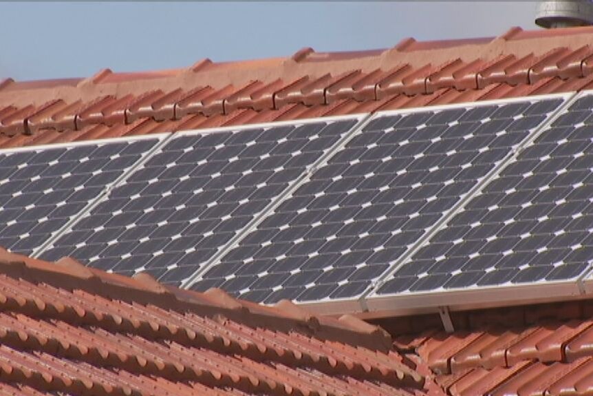 Solar panel firms under spotlight