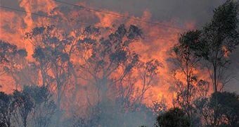 A bushfire in Australia