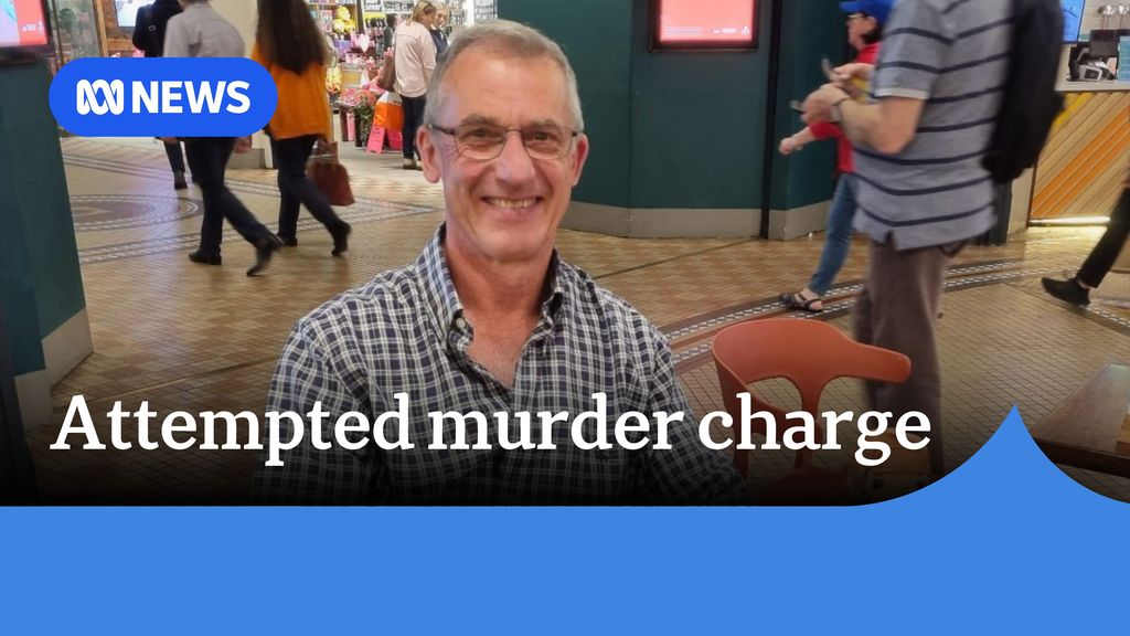 Sydney businessman accused of trying to murder is wife with insect ...