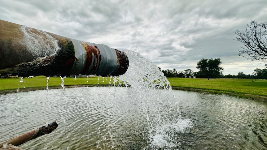 A free flowing artesian bore pushes hot water from the Great Artesian Basin to a small pond