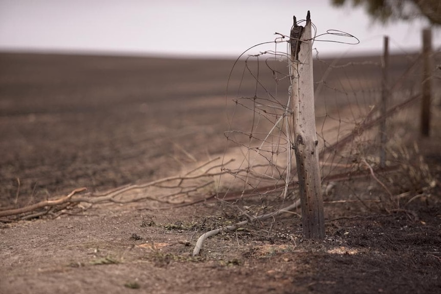 A burnt fence post and twisted ring lock fencing in front of a burnt grain paddock