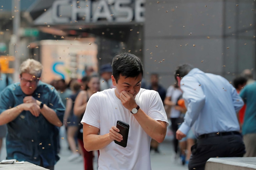 People react as the bees fly through Times Square.