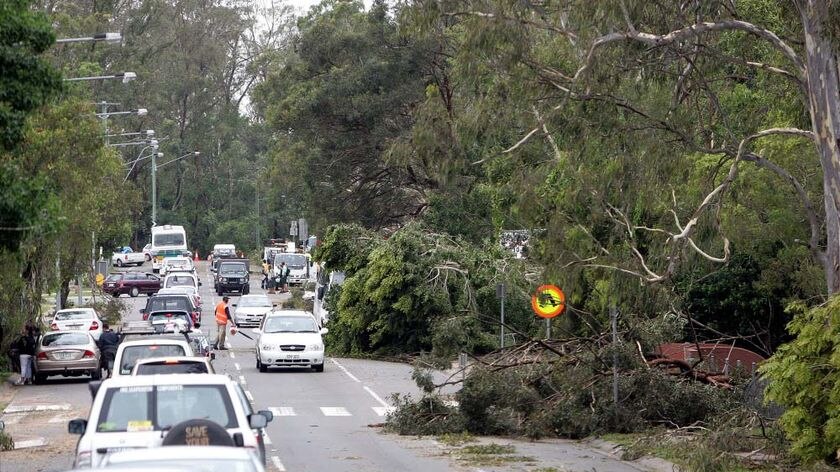 Traffic backs up as it slows to avoid debris on the road outside Ferny Grove High School